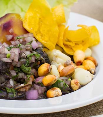 Delicious typical dishes in Punta Sal